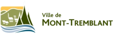 Logo vmt 1